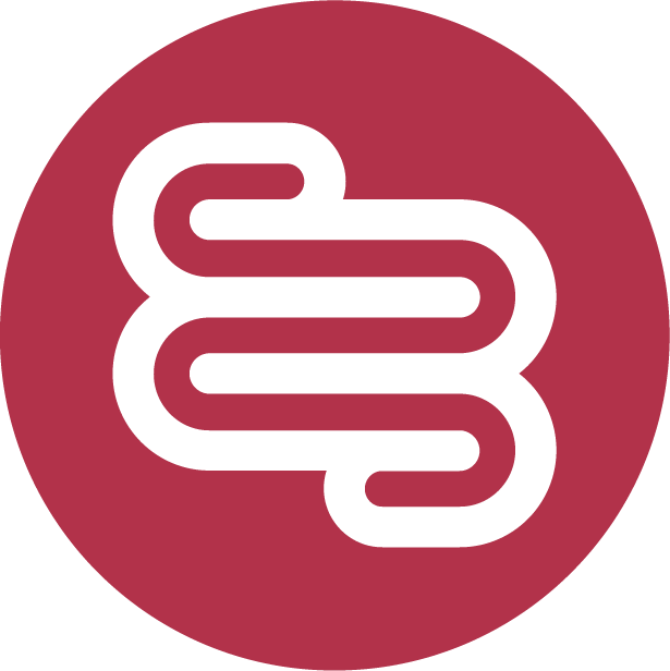 241119_Olesija_Schneider_Darmkonzept_Favicon-neueFarbe